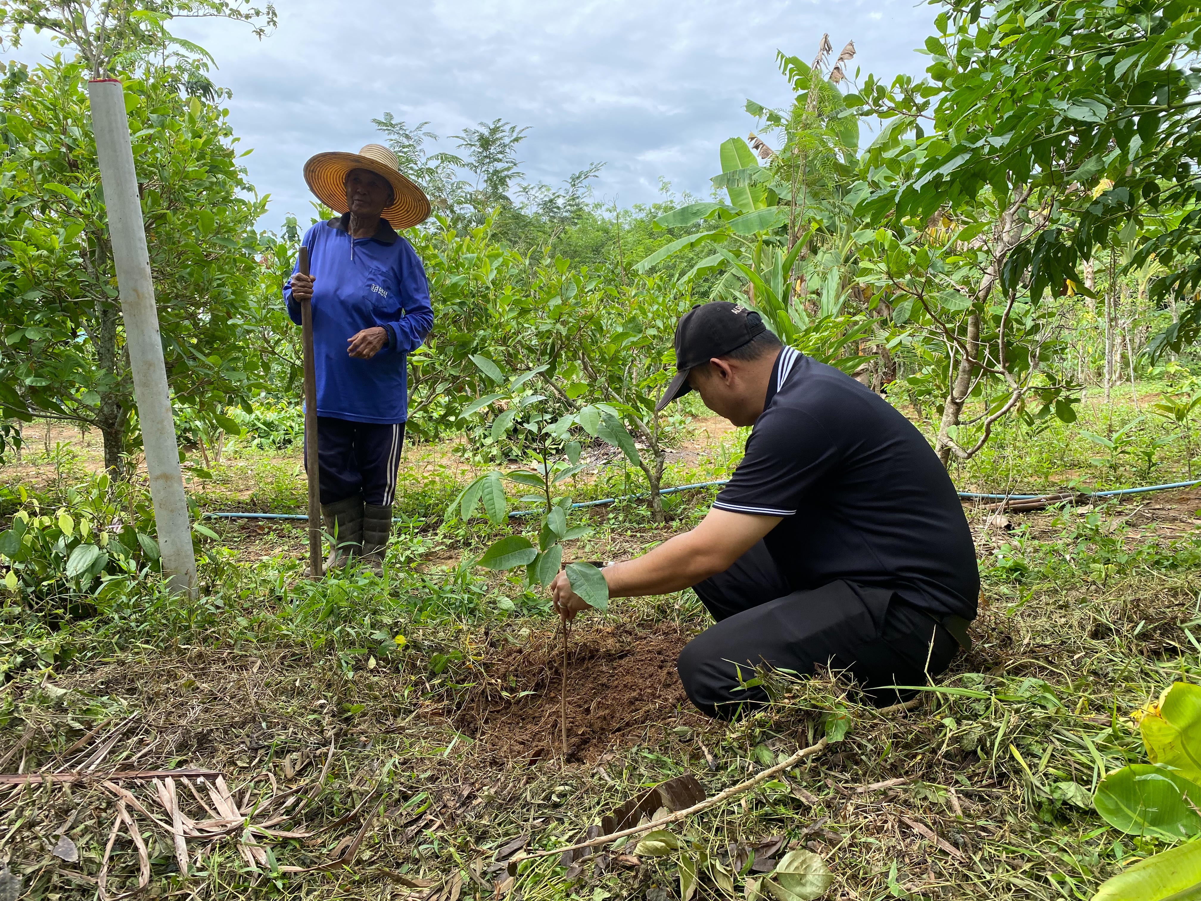 title - สำนักงานการปฏิรูปที่ดินจังหวัดตรัง ร่วมจัดกิจกรรมเนื่องในวันต้นไม้ประจำปีของชาติ พ.ศ.๒๕๖๙